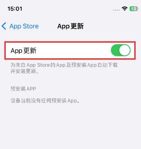 洋浦经济开发区苹果15维修中心如何让iPhone15APP自动更新 洋浦经济开发区苹果15维修中心如何让iPhone15APP自动更新