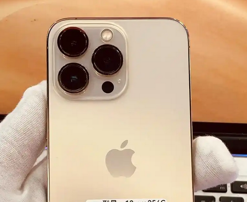 洋浦经济开发区苹果13维修中心分享如何在iPhone13上设置动态壁纸 洋浦经济开发区苹果13维修中心分享如何在iPhone13上设置动态壁纸